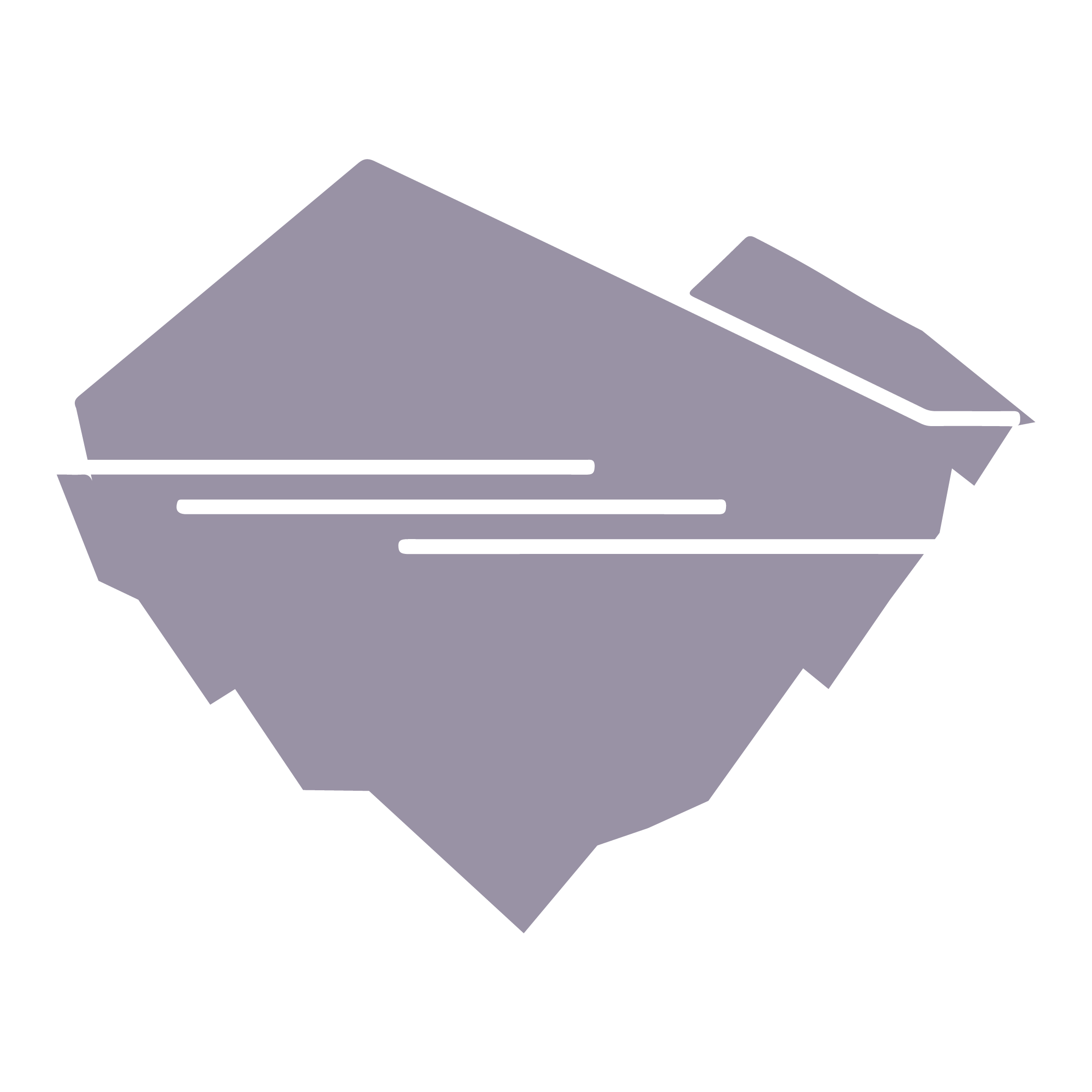 logo img